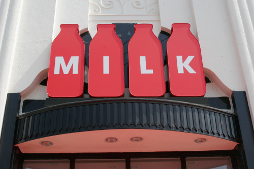 Milk photo 5