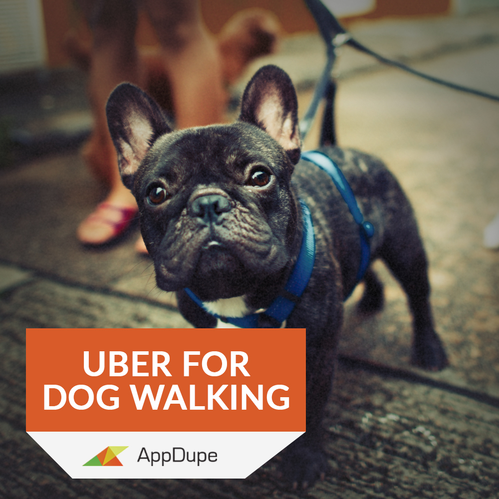 Lucky Dog Walking Services Los Angeles photo 2