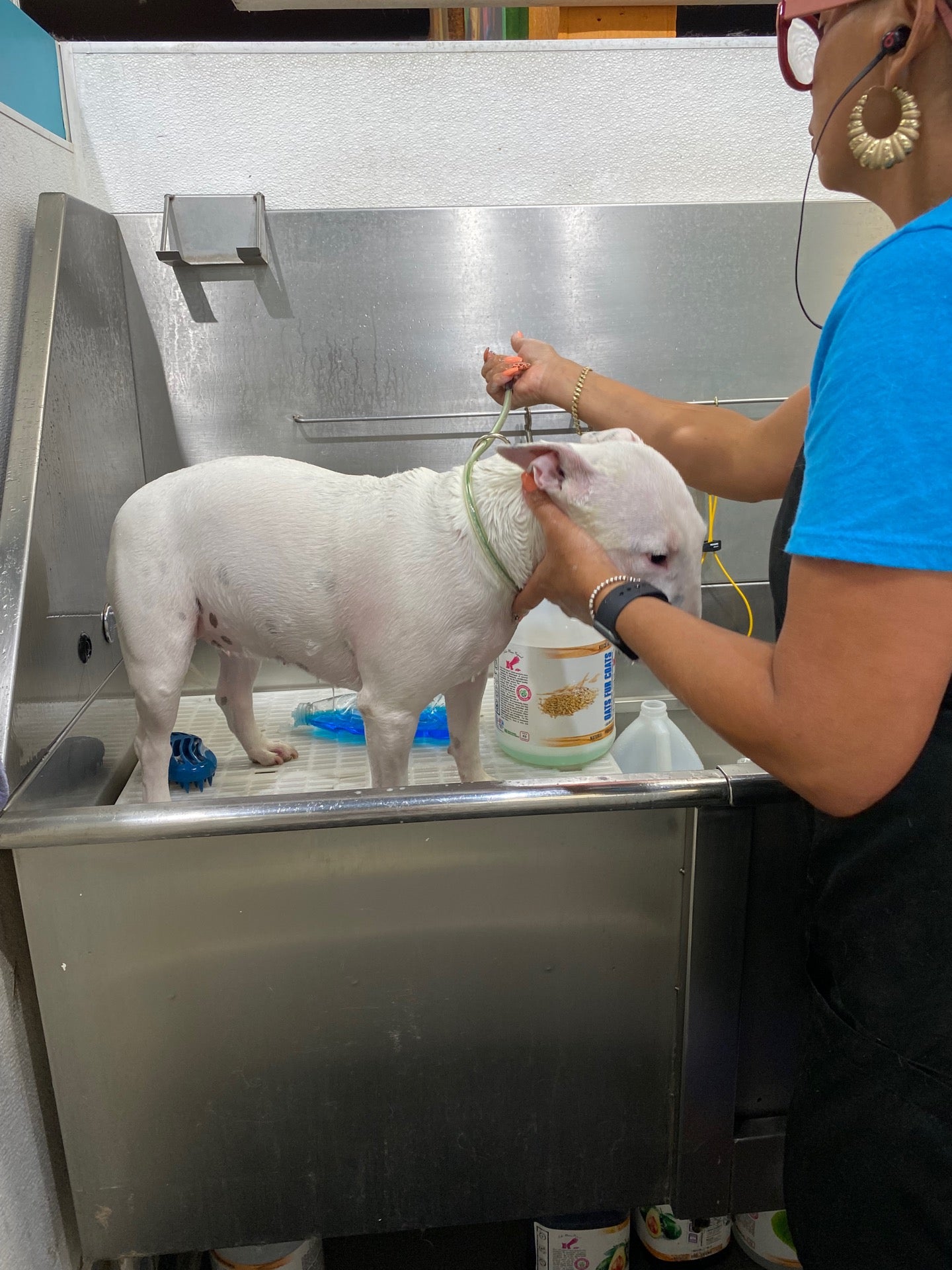 Moon Shine Pet Grooming photo 5