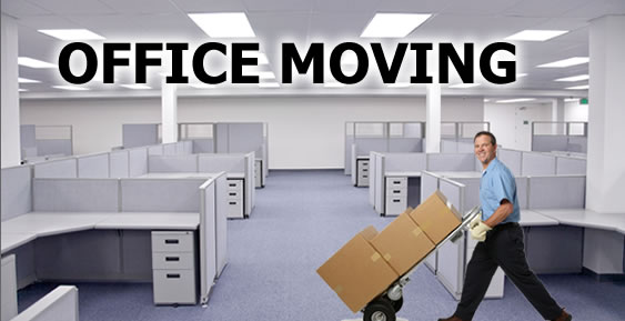 Newcastle Movers photo 2